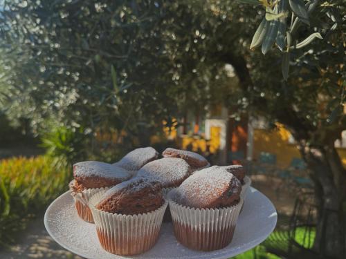 a plate of cupcakes with powdered sugar on them at B&B Mariposa in Collecorvino