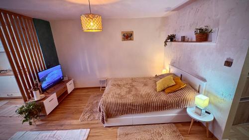 Televisyen dan/atau pusat hiburan di BTY Modern Apartman