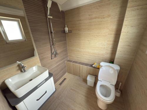 a bathroom with a white sink and a toilet at Villa Adushi in Prizren