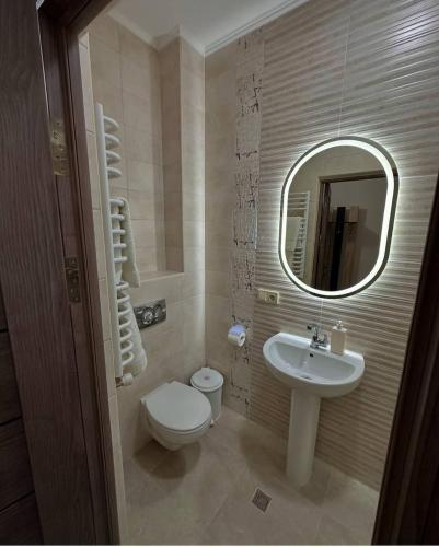 a bathroom with a toilet and a sink and a mirror at SV Lion 