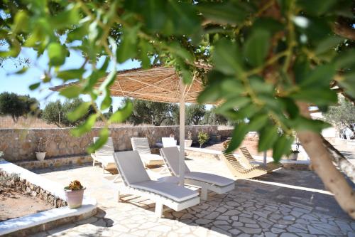 Сад в Voula Resort