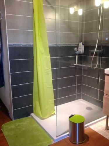 a shower with a glass door and a green rug at CARDABELLE maison authentique à louer in Millau