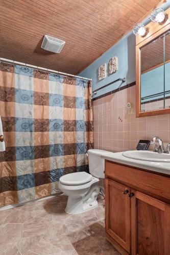 a bathroom with a toilet and a sink at Shady Pines @ Crystal Mountain Resort in Thompsonville