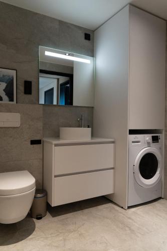 a bathroom with a toilet sink and a washing machine at Serene cabin in Lofoten with sauna in Kleppstad