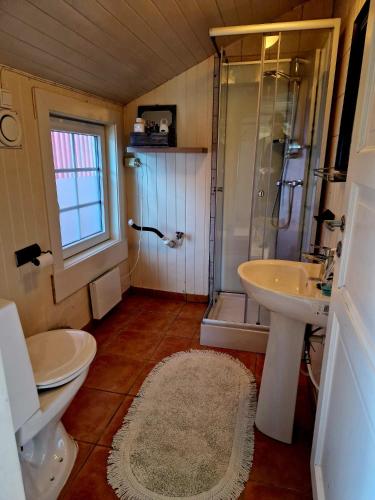 a bathroom with a toilet and a sink and a shower at Arthur Brygga Nyksund in Nyksund
