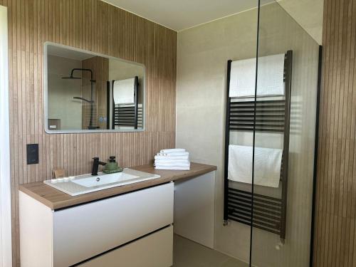 a bathroom with a sink and a mirror at Somogyi Apartman Natur in Ciucsîngeorgiu