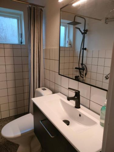 a bathroom with a sink and a toilet and a mirror at Porshøjvej in Skive