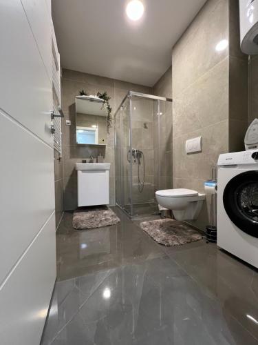 a bathroom with a shower toilet and a washing machine at Harmony Space Apartment in Banja Luka