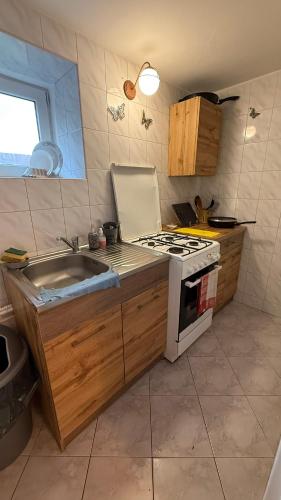 a kitchen with a sink and a stove at Agroturystyka u Witka in Brynica Mokra