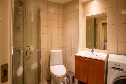 a bathroom with a toilet and a shower and a sink at Høyfjellsgrend 961, 36b in Trysil