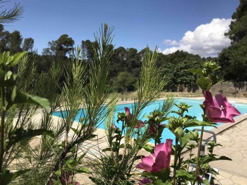 a swimming pool with flowers in the foreground at Les chambres du domaine de russol in Laure-Minervois