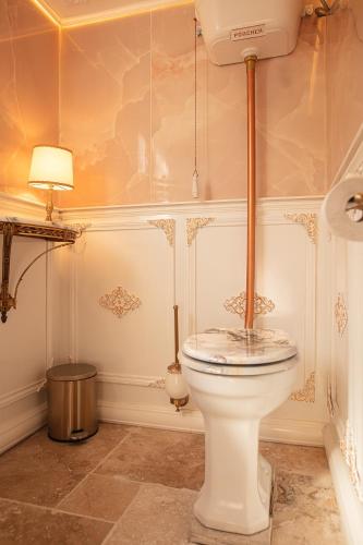 a bathroom with a white toilet in a room at Au Petit Chateau les Bains a Thermen Morvan in Saint-Honoré-les-Bains