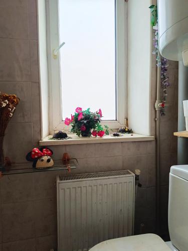 a bathroom with a window with flowers on a window sill at Jurmala-Sloka in Jūrmala