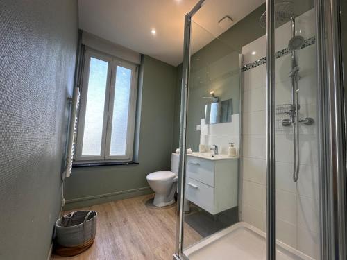 a bathroom with a shower and a toilet at C Oslo - Appartement spacieux proche centre-ville in Charleville-Mézières