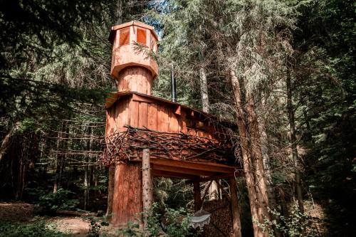 Veža v korunách stromov