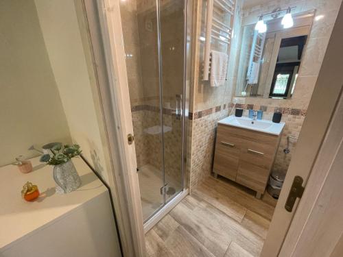 a bathroom with a shower and a sink at Apartamento El Pandal in Infiesto
