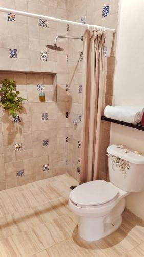 a bathroom with a toilet and a shower at Martha Cozy Apartments 2 in Valladolid