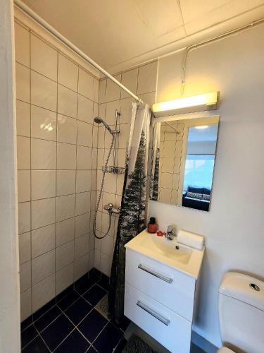 a bathroom with a shower and a sink and a mirror at Dali City Senter Ap 2 in Stavanger