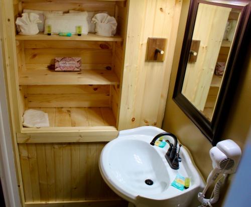 a bathroom with a sink and a mirror at Lake Haven Motel in Lake George