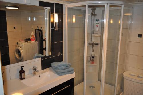 a bathroom with a shower and a sink and a toilet at FREDNES COSY RETREAT - One Bedroom Apartment in Porsgrunn
