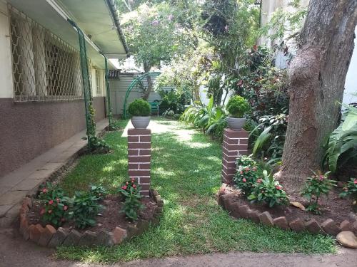 a yard with a tree and some bushes and flowers at White Room in Colombo Seven in Colombo