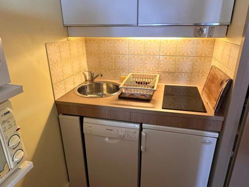 Les Menuires: Bel appt 4 pers, balcon, Wifi, animaux admis - FR-1-574-70