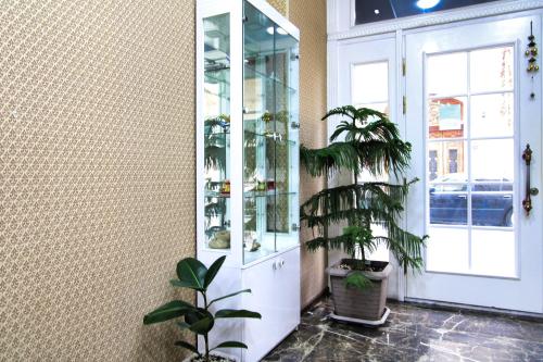 a hallway with plants and a white cabinet with plants at Pilot By Haz Hotel in Baku