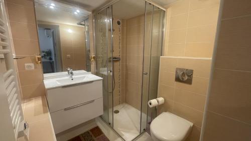 ein Badezimmer mit Toilette, Waschbecken und Dusche in der Unterkunft Le Clos du Roc d'Azur Suite climatisée , terrasses privées, piscine, parking sécurisé in Roquefort-les-Pins