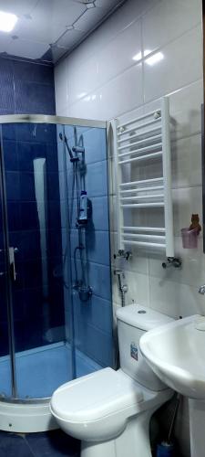 Ένα μπάνιο στο Baku Butik Mini-Hotel
