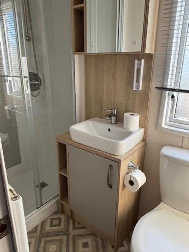 a bathroom with a sink and a shower and a toilet at Deblisa in Longtown