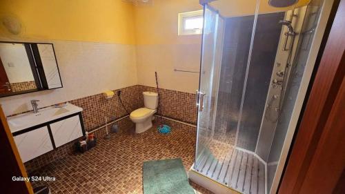 a bathroom with a shower and a toilet and a sink at Apartment Exotica in Flic-en-Flac