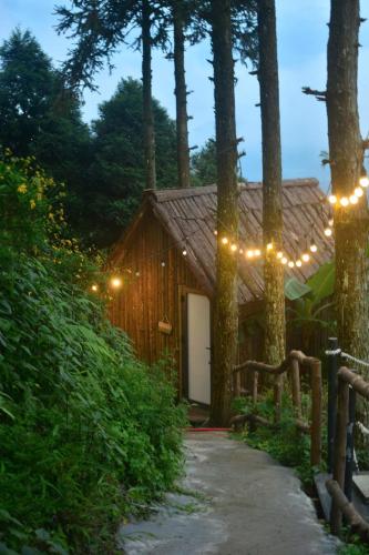 a house with lights on the side of it at D Home Sapa 10 in Sapa