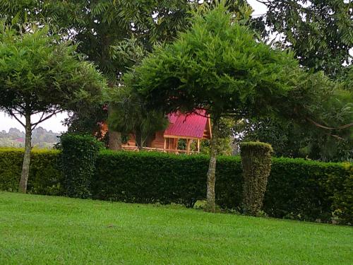 a house with a red roof behind a hedge at Nature flows Eco-Farm cottage & campsite in Fort Portal