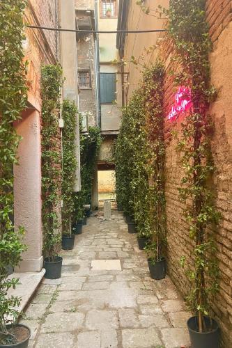 Jardín al aire libre en Palazzo Titti Rialto Suites