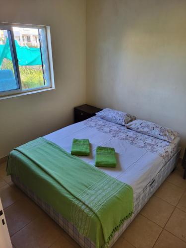 a bedroom with a bed with two green pillows on it at Chacra MARIANA in Gualeguay