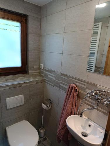 a bathroom with a sink and a toilet and a window at Chata Radim 