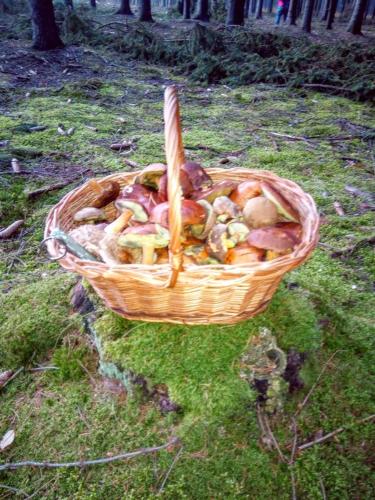 a basket full of food sitting on the grass at Chata Radim 