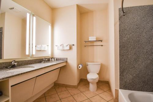 a bathroom with a toilet and a sink and a mirror at Holiday Inn San Antonio North Stone Oak Area by IHG-Newly Renovated in San Antonio