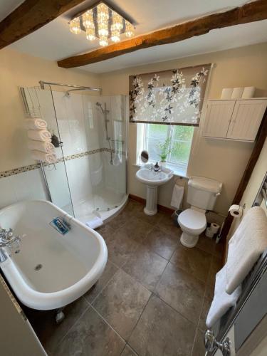 a bathroom with a sink toilet and a shower at Chew Valley Retreat Suite in Bishop Sutton