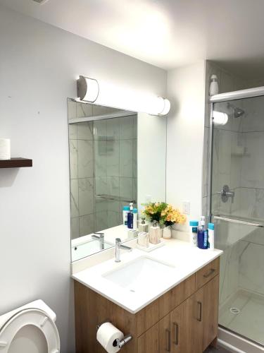 a bathroom with a sink and a toilet and a mirror at Cozy 1-Bedroom with Downtown City views in Edmonton