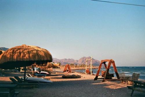 Gammal Boutique Camp