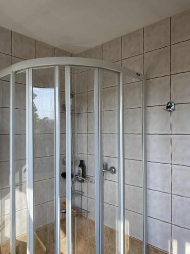 a shower with a glass door in a bathroom at Kampinówka in Tułowice
