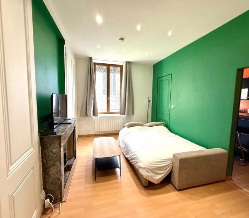 a green room with a bed and a television at Appartement proche des transports in Villeurbanne