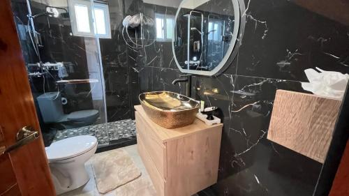 a bathroom with a toilet and a sink and a mirror at Tranquil Villas in Soufrière