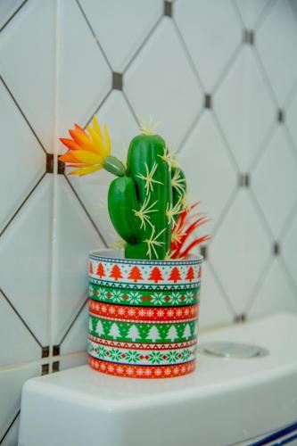 a cactus in a pot on top of a shelf at Turquoise Studio with Netflix & WIFI in Nanyuki