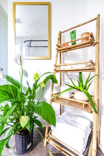 a room with a bamboo shelf and a plant at Short North Convention King Bed Free Parking! in Columbus