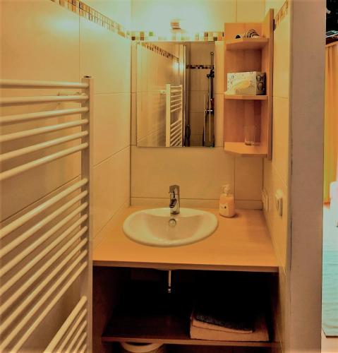 a bathroom with a sink and a mirror at Gästehaus Biobauernhof Mandl in Murau