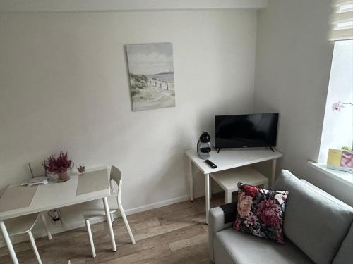 Una sala de estar con un sofá, una mesa y un televisor. en Northern Lights small apartment at Emmas Street 28, Riga, en Riga