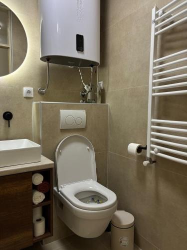 Un baño pequeño con inodoro y lavabo. en Spacious Apartment in Banovo Brdo, en Belgrado