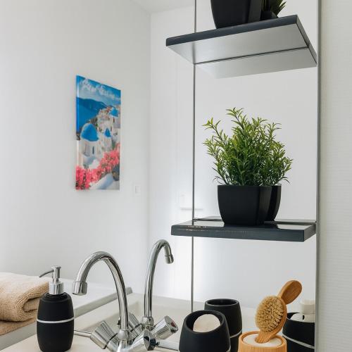 una encimera con fregadero y algunas plantas en T2 paisible avec balcon verdoyant, en Angers